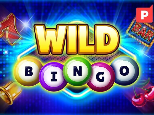 sn888 Bingo Selvagem